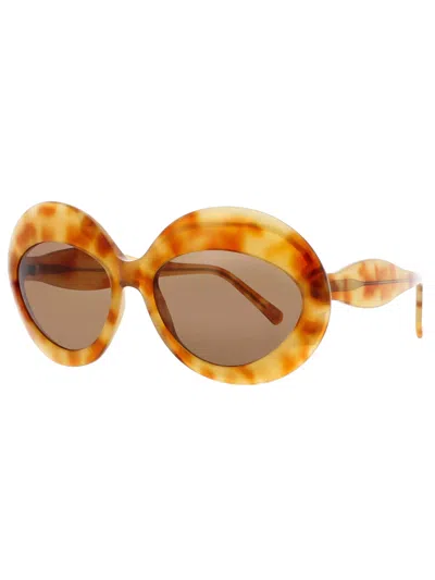 Andy Wolf Rising High Women's Acetate Sunglasses In Gold