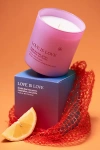Anecdote Candles Anecdote X Anthropologie Love Is Love Yuzu & White Teak Glass Candle