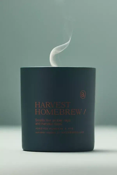 Anecdote Harvest Homebrew Cocktail Collection Candle In Black