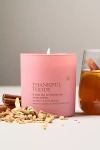 Anecdote Spice Thankful Toddy Boxed Glass Candle