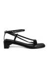 Anest Collective Women Linea Sandals In Black