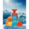 Anfar Unisex Tangerine Midnight Frost Extrait De Parfum Extrait De Parfum 3.4 oz Fragrances 62940223