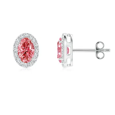 Angara Oval Fancy Intense Pink Diamond Studs With Halo In Green
