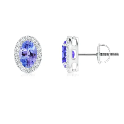 Angara Oval Tanzanite Studs With Diamond Halo In White