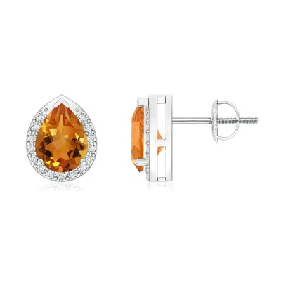 Angara Pear-shaped Citrine Stud Earrings With Diamond Halo In Metallic