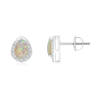 Angara Pear-shaped Opal Stud Earrings With Diamond Halo In Metallic