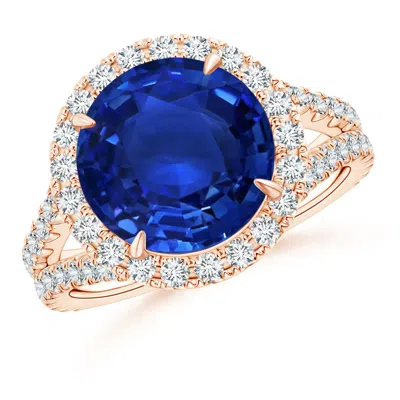 Angara Round Gia Certified Ceylon Sapphire Split Shank Ring In Gold