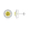 Angara Solitaire Bezel-set Round Lab-grown Fancy Intense Yellow Diamond Halo Stud Earrings In White Gold/fancy Intense