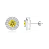 Angara Solitaire Round Fancy Intense Yellow Diamond Halo Stud Earrings In White Gold/fancy Intense