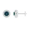 Angara Teal Montana Sapphire Stud Earrings With Bar-set Diamond Halo In White Gold/medium Greenish Blue