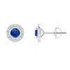 Angara Vintage Style Sapphire And Diamond Halo Stud Earrings In White Gold/medium To Rich Blue