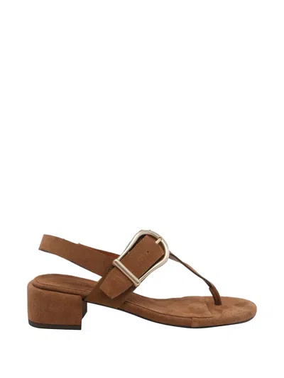 Angel Alarcon Buckle-detail Suede Sandals In Brown