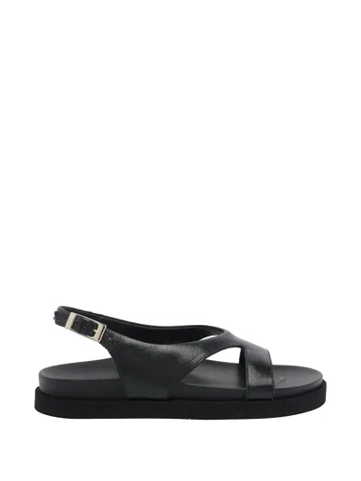 Angel Alarcon Buckle-fastening Cut-out Sandals In Black