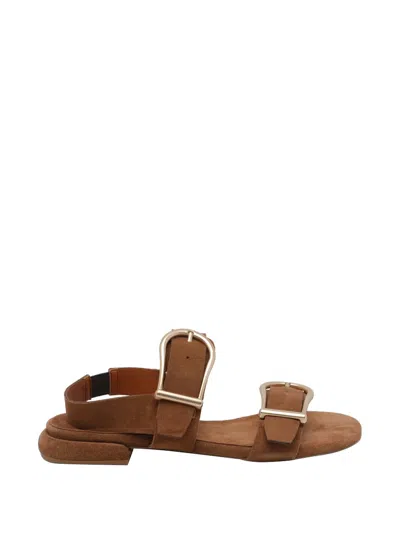 Angel Alarcon Buckle-fastening Suede Sandals In Brown