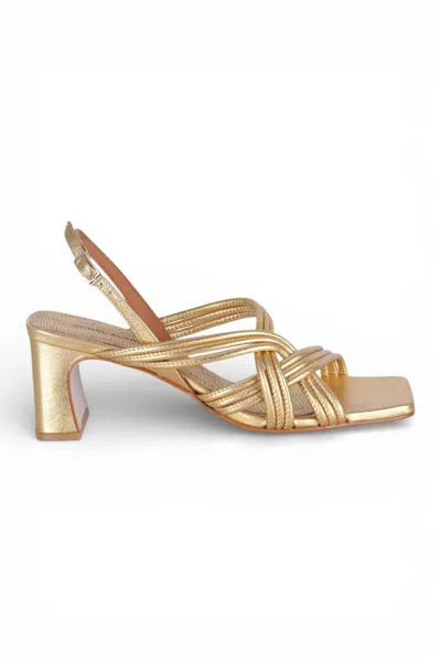 Angel Alarcon - Sandals - 471253 - Gold In Oro