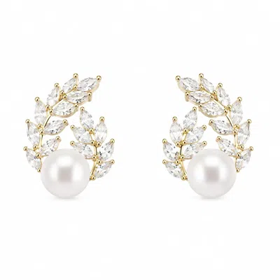 Angel Barocco Women's Freshwater Pearl Crystal Laurel Stud Earrings - Gold