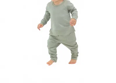 Angel Dear Kids' French Terry Raglan And Jogger Set In Desert Sage In Green