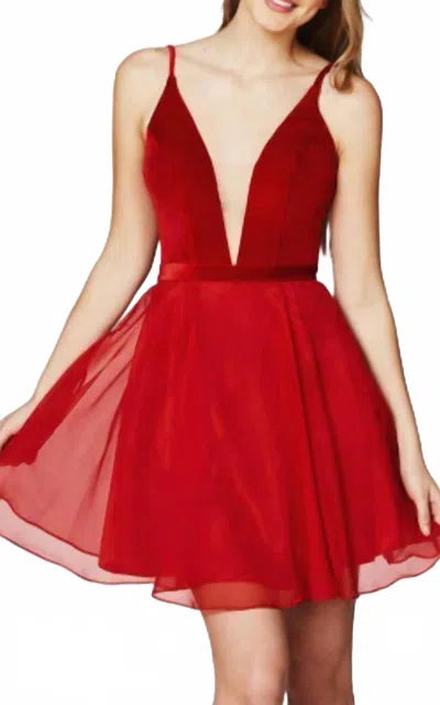 Angela & Alison Velvet Dress In Crimson In Red