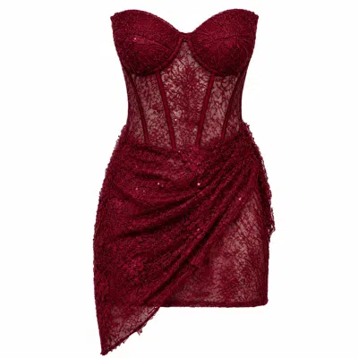 Angelika Jozefczyk Women's Purple Mini Lace Dress Catrice Burgundy