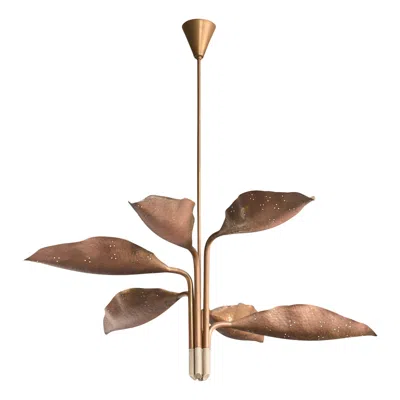Pre-owned Angelo Lelii , Chandelier, Brass, Italy, 1950s In Brown
