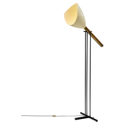 Pre-owned Angelo Lelii Model "televisione" Floor Lamp For Arredoluce, Italy 1956 In Sand