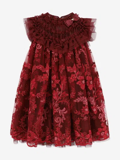 Angel's Face Babies' Girls Dominique Flower Embroidery Dress In Red