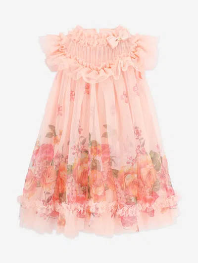 Angel's Face Babies' Angels Face Girls Dominique Roses Border Print Dress In Pink