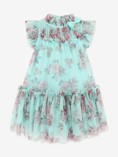 Angel's Face Babies' Girls Marigold Roses Dress In Blue