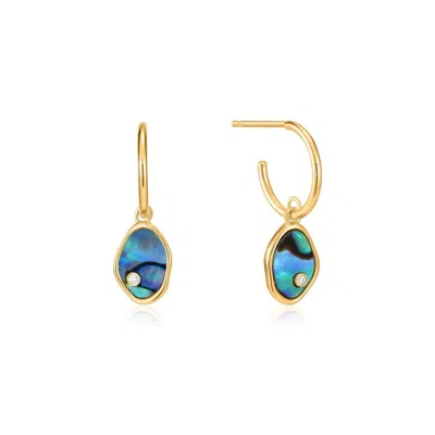 Ania Haie Women's Tidal Mini Hoop Earrings In Abalone