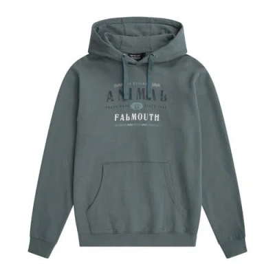 Animal River Falmouth Hoodie In Gray