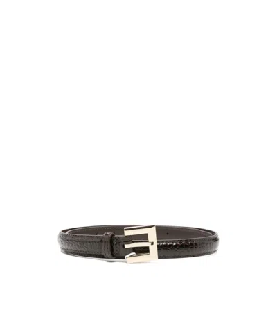 Anine Bing Crocodile-embossed Belt In Brown
