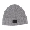 Anine Bing Carley Beanie In Gray