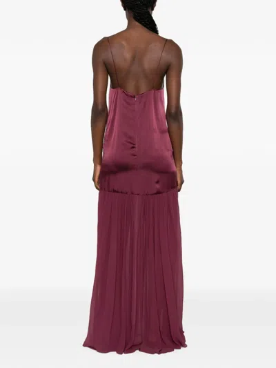 Anine Bing Clementine Pleated-skirt Maxi Dress In Burgundy