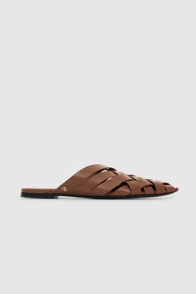 Anine Bing Eve Flats - Cognac 41