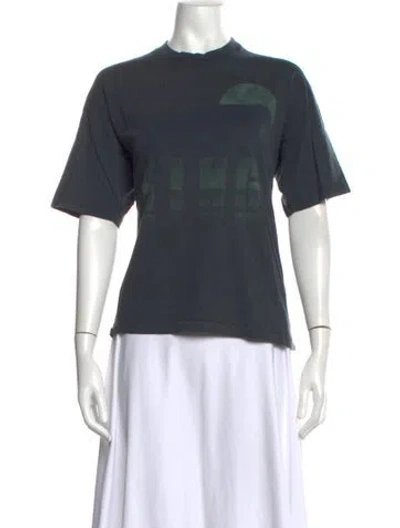 Pre-owned Anine Bing Graphic Print Crew Neck T-shirt In Grey