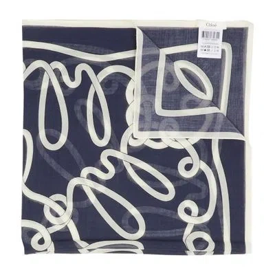 Anine Bing Hannah Scarf In Grey