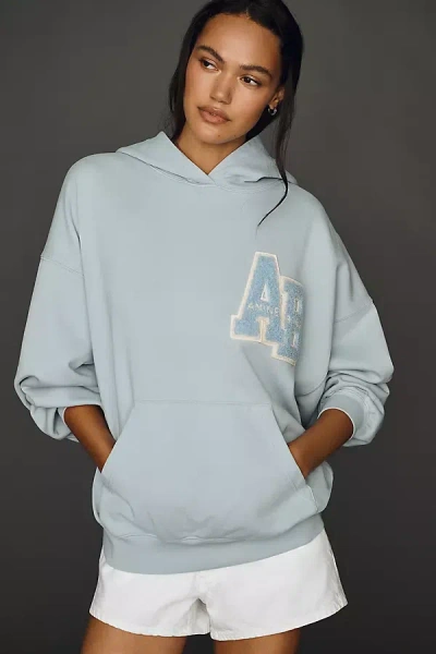 Anine Bing Harvey Hooded Cotton Sweatshirt In Blue