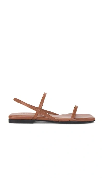Anine Bing Hilda Flat Sandals In Brown