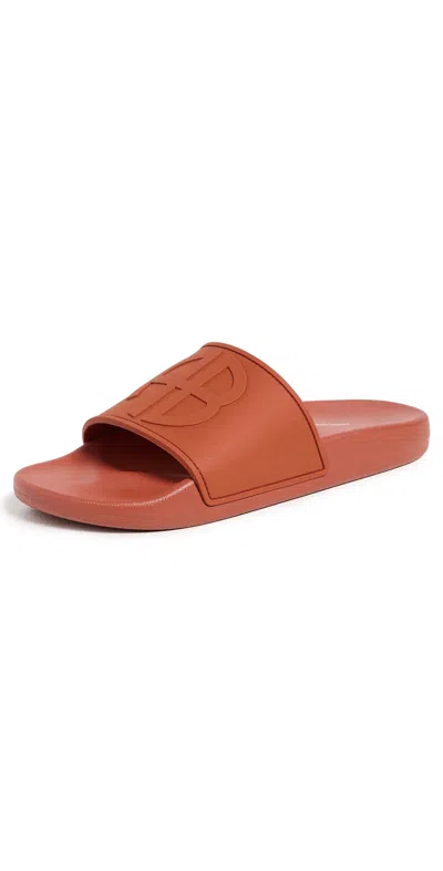Anine Bing Isla Sandals Red Terracotta In Brown