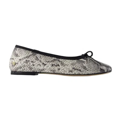 Anine Bing Jamie Embossed Ballerina Shoes In Gray
