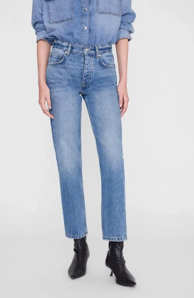 Anine Bing Jane Jean In Blue