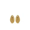 Anine Bing Brass Earrings In Gold