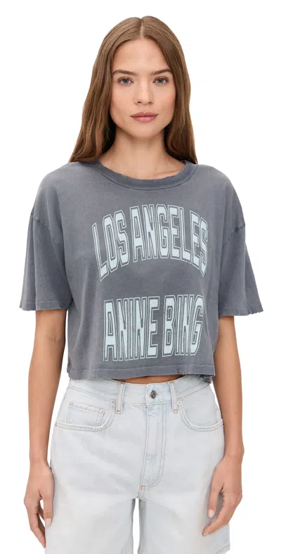 Anine Bing Effortless Chic Mini T-shirt For Women In Gray