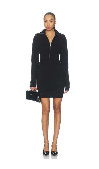 Anine Bing June Trucker Collar Dress In Black