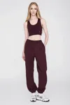 Anine Bing Karter Track Pants In Burgundy