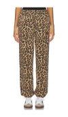 Anine Bing Karter Joggers Framed Monogram Leopard In Multi
