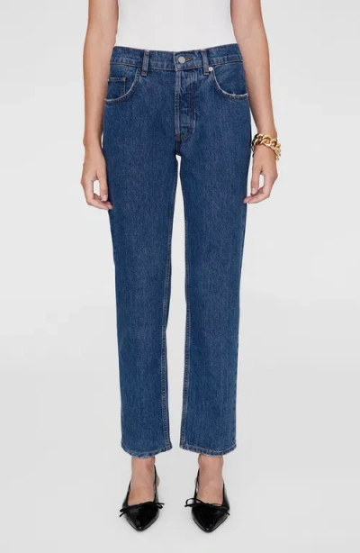 Anine Bing Kate Jean In Blue