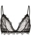 Anine Bing Sheer Lace Bra In Black