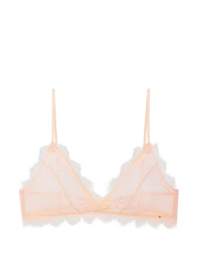 Anine Bing Lace Bra With Trim In Neutral