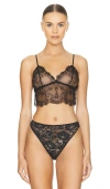 Anine Bing Lace Bralette In Black In Black